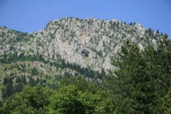 koziakas